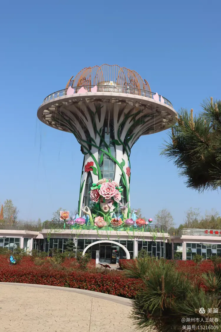 滁州花博园紫藤.海棠花.桃花.琼花.樱花还在盛开